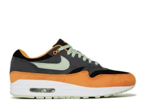 Nike Air Max 1 Prm "UGLY DUCKLING-HONEY DEW" DZ0482 001